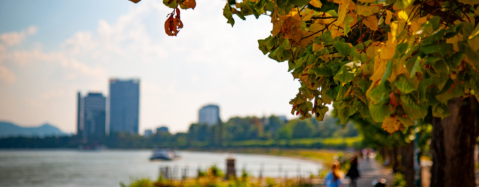 Rheinpromenade im Herbst