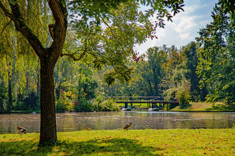 Herbststimmung am Rheinauensee