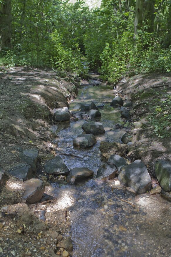 Das Derletal ist ein Taleinschnitt zwischen den beiden Hochflächen Hardtbergwald und Brüser Berg/Hardthöhe, südwestlich des alten Ortskerns von Bonn-Duisdorf. Neben den Rheinauen ist das 33 Hektar umfassende Areal im Westen der Stadt das zweitgrößte Naherholungsgebiet der Stadt Bonn.