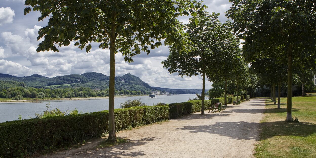 Im Panoramapark ist der Name Programm - vom erhöhten Plateau des drei Hektar großen Areals aus bietet sich dem Besucher ein wunderschönes und aus vielen Winkeln reizvolles Panorama von Rheintal und Siebengebirge.