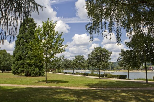 Im Panoramapark ist der Name Programm - vom erhöhten Plateau des drei Hektar großen Areals aus bietet sich dem Besucher ein wunderschönes und aus vielen Winkeln reizvolles Panorama von Rheintal und Siebengebirge.