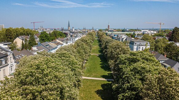 Drohnenaufnahme der Poppelsdorfer Allee im Frühling. Entlang der Allee blühen Kastanienbäume.