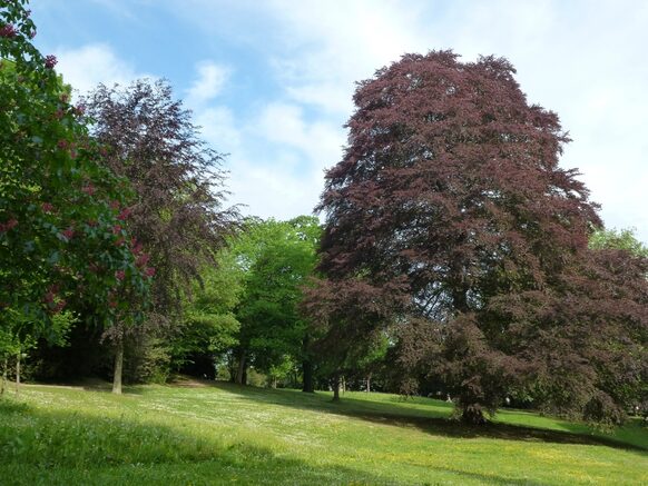 Der Bau des Redoutenparks wurde 1820 begonnen. Gartenmeister Konrad Wilhelm Nelle (1813 - 1902) schuf dann 1856 für den neuen Besitzer der Redoute den heutigen Garten im englischen Gartenstil. Auf einem Hang erstreckt sich auf rund sechseinhalb Hektar modelliertem Gelände der Landschaftsgarten mit wertvollen Baumarten aus unterschiedlichen Ländern und Ruinenmotiven.