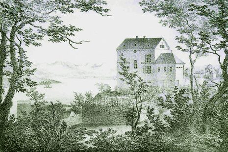 Das Schwarz-Weiß-Bild zeigt im Vordergrund Bäume und Büsche. Durch sie hindurch ist der Blick auf ein Haus freigegeben. Es handelt sich um die Villa Brandis.