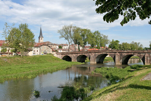 Stadtansicht von Mirecourt