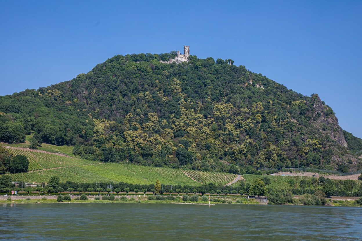 Der Drachenfels in Königswinter