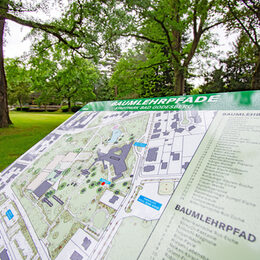 Eine Übersichtstafel im Stadtpark Bad Godesberg zeigt den Baumlehrpfad