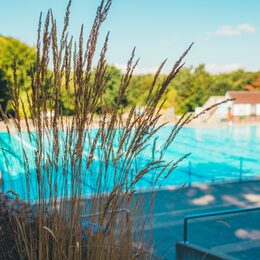 Blick durch verwelkte Gräser auf das Schwimmerbecken im Hardtbergbad Bonn