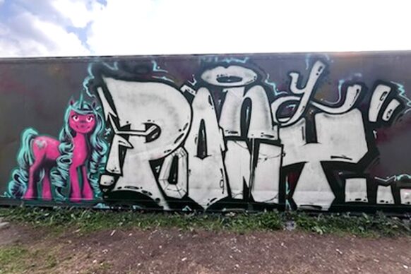 Graffiti auf dem Container im Reuterpark