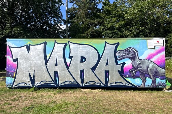 Graffiti auf dem Container Reuterpark