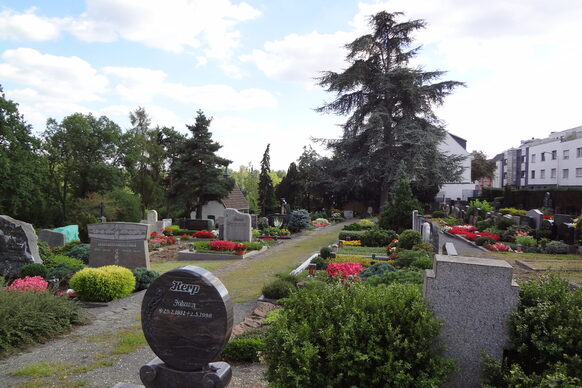 Alter Friedhof Ippendorf