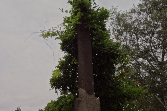 Friedhof Vilich Adelheidisstraße