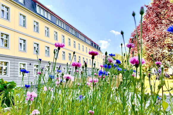 Blumenbeet im Garten der Bildung