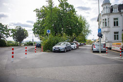 Eine Straße am Rheinufer mit parkenden Autos vor einer baumbewachsenen Grünfläche und einer Häuserzeile.