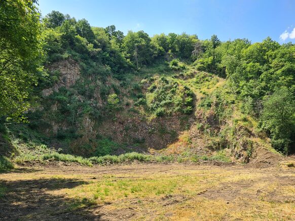 Freifläche, im Hintergrund Steilfelsen und Bäume.