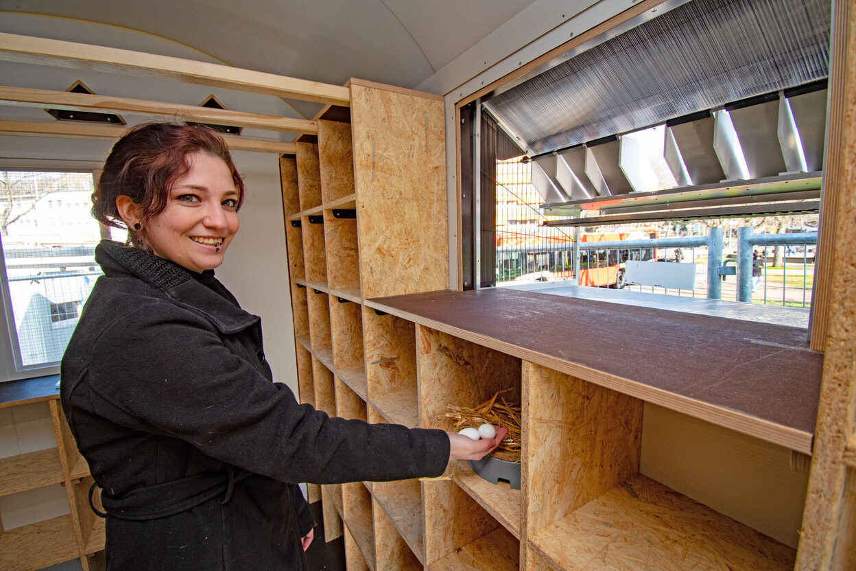 Das Bild zeigt eine Frau in einem Bauwagen vor einem Holzregal mit Ei-Attrappen aus Kunststoff in der Hand.