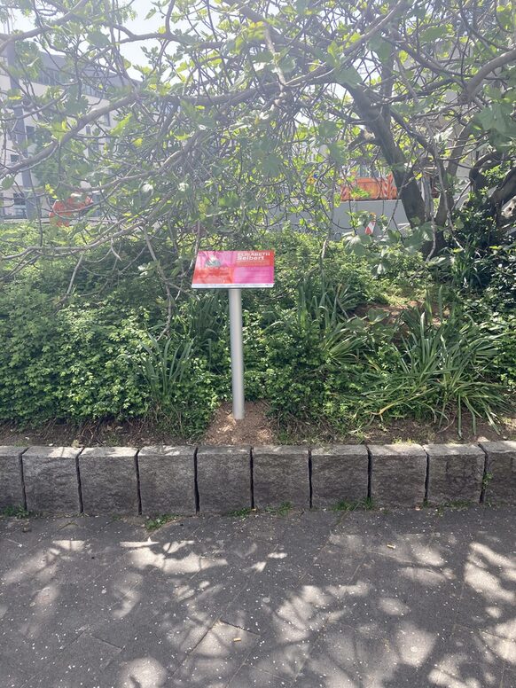 Das Bild zeigt die Stele für Elisabeth-Selbert am gleichnamigen Platz in der Nähe des Stadthauses.