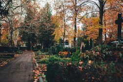 Wege und Gräber auf dem Nordfriedhof.