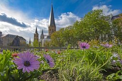 Sommerblumen im Beet des Beethovendenkmals auf dem Münsterplatz