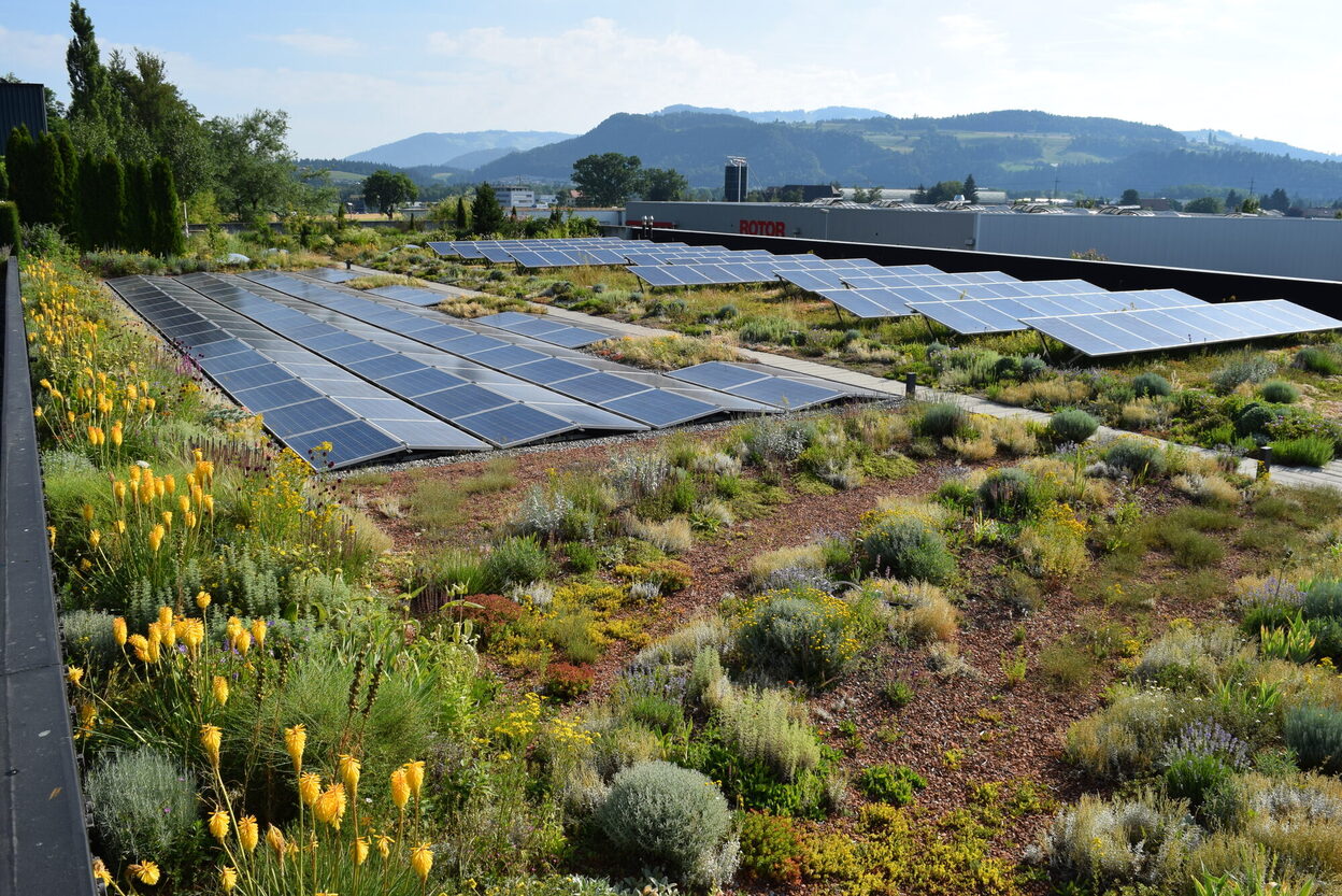 Begrüntes Flachdach mit Solarpanels