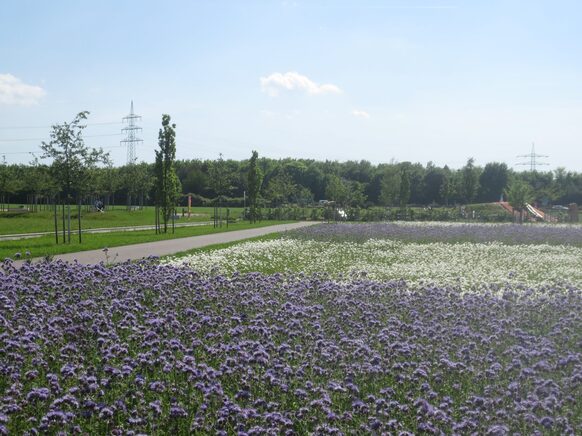 Grünes C - Blumen und Bäume