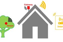 Die Grafik zeigt einen Baum mit Sensor und ein Haus mit der Internetempfangsstation