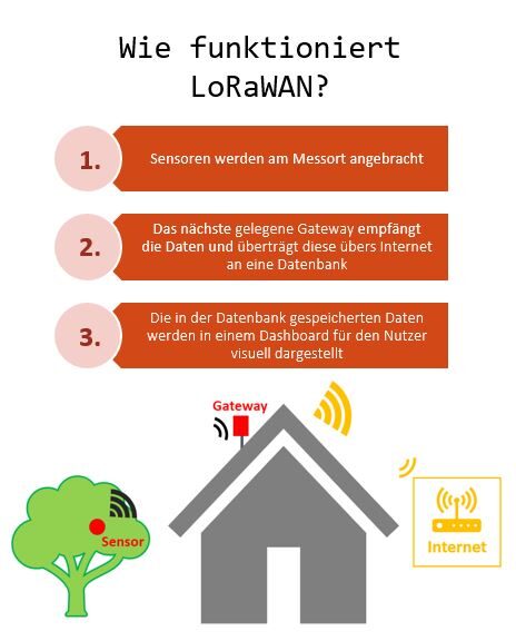 Die Grafik zeigt einen Baum mit Sensor und ein Haus mit der Internetempfangsstation