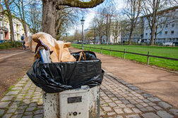 Ein überfüllter Mülleimer an der Poppelsdorfer Allee