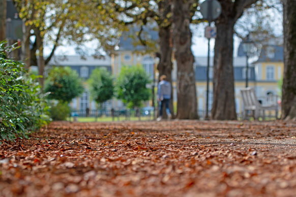 Herbststimmung am Poppelsdorfer Schloss