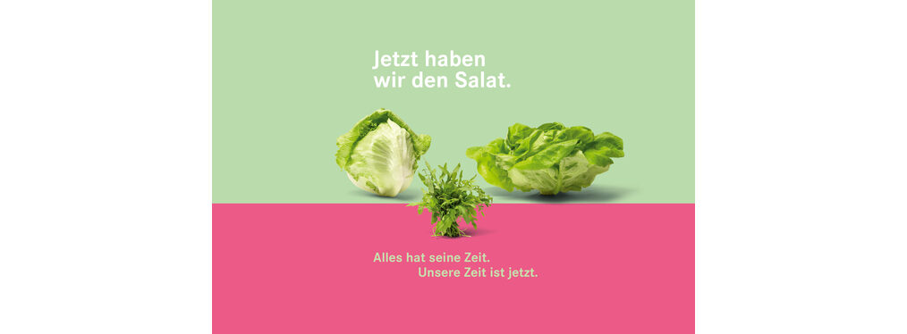 Das Plakat mit dem Schriftzug Jetzt haben wir den Salat zeigt Eisbergsalat, Rucola und Kopfsalat