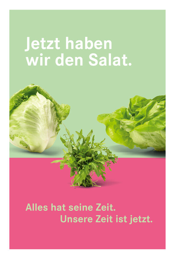 Das Plakat mit dem Schriftzug Jetzt haben wir den Salat zeigt Eisbergsalat, Rucola und Kopfsalat