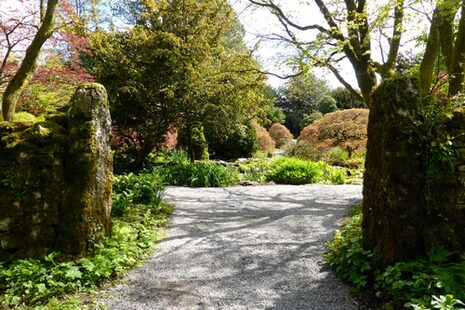 Das Bild zeigt einen Weg in einen Garten