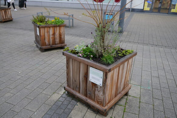 Bepflanzte Holzkübel auf einer gepflasterten Fläche in einer Stadt