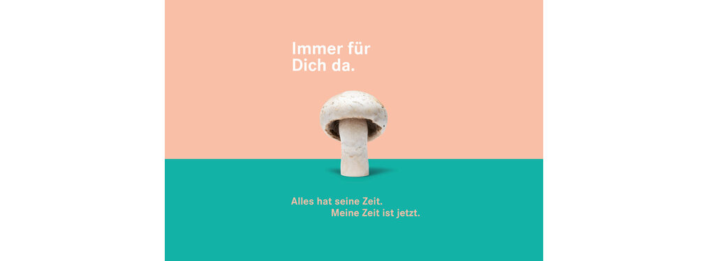 Das Plakat zeigt einen weißen Champignon. Text: Alles hat seine Zeit. Meine Zeit ist jetzt.