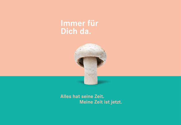 Das Plakat zeigt einen weißen Champignon. Text: Alles hat seine Zeit. Meine Zeit ist jetzt.