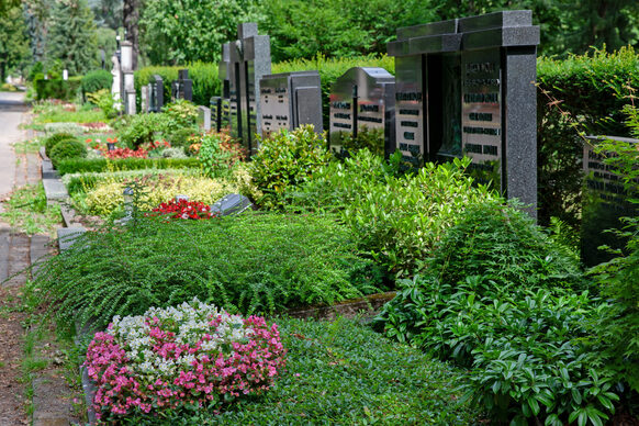 Wahlgräber auf dem Nordfriedhof