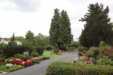 Friedhof Friesdorf