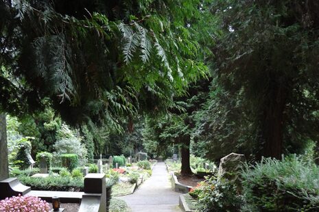 Neuer Friedhof Kessenich