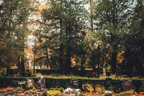 Gräber auf dem Nordfriedhof