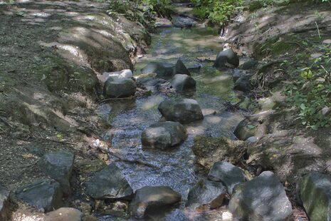 Bachlauf im Derletal