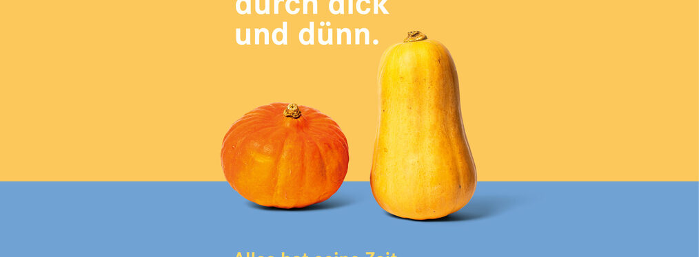 Zwei Kürbisse, einer davon orange und rundlich, der andere gelb und lang.