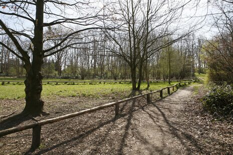 Naturschutzgebiet Düne Tannenbusch