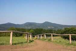 Wanderweg am Rodderberg. Im Hintergrund das Siebengebirge.