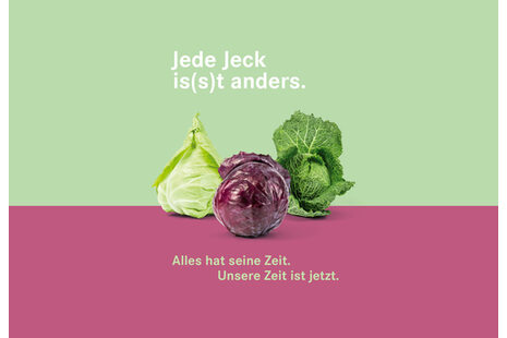 Plakat mit einem Rotkohl, einem Wirsing und einem Spitzkohl