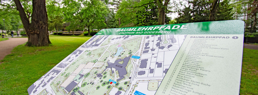 Übersichtsplan über den Baumlehrpfad im Stadtpark Bad Godesberg