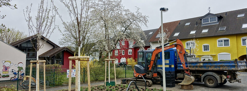 Neugepflanzte Bäume in einer Wohnsiedlung.