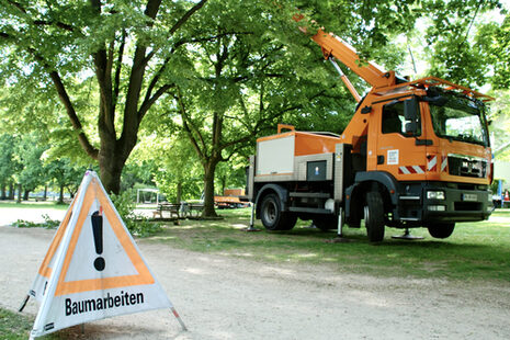 Baumpflegearbeiten mit einer Hubarbeitsbühne auf einem Lkw