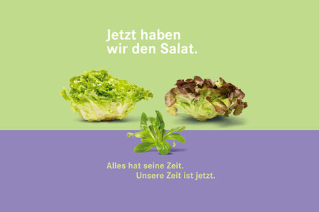 Wintersalate: Kopfsalat, Feldsalat etc.