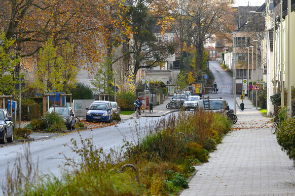 Das Bild zeigt einen breiten Gehweg neben neu angelegten Beeten entlang der Endenicher Allee.