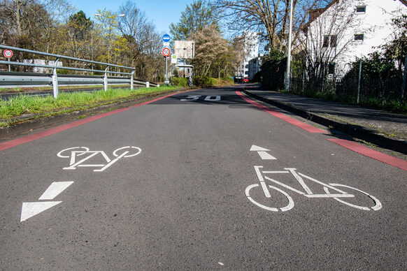 Mit weißer Farbe aufgemalte Räder und Pfeile auf einer Fahrradstraße